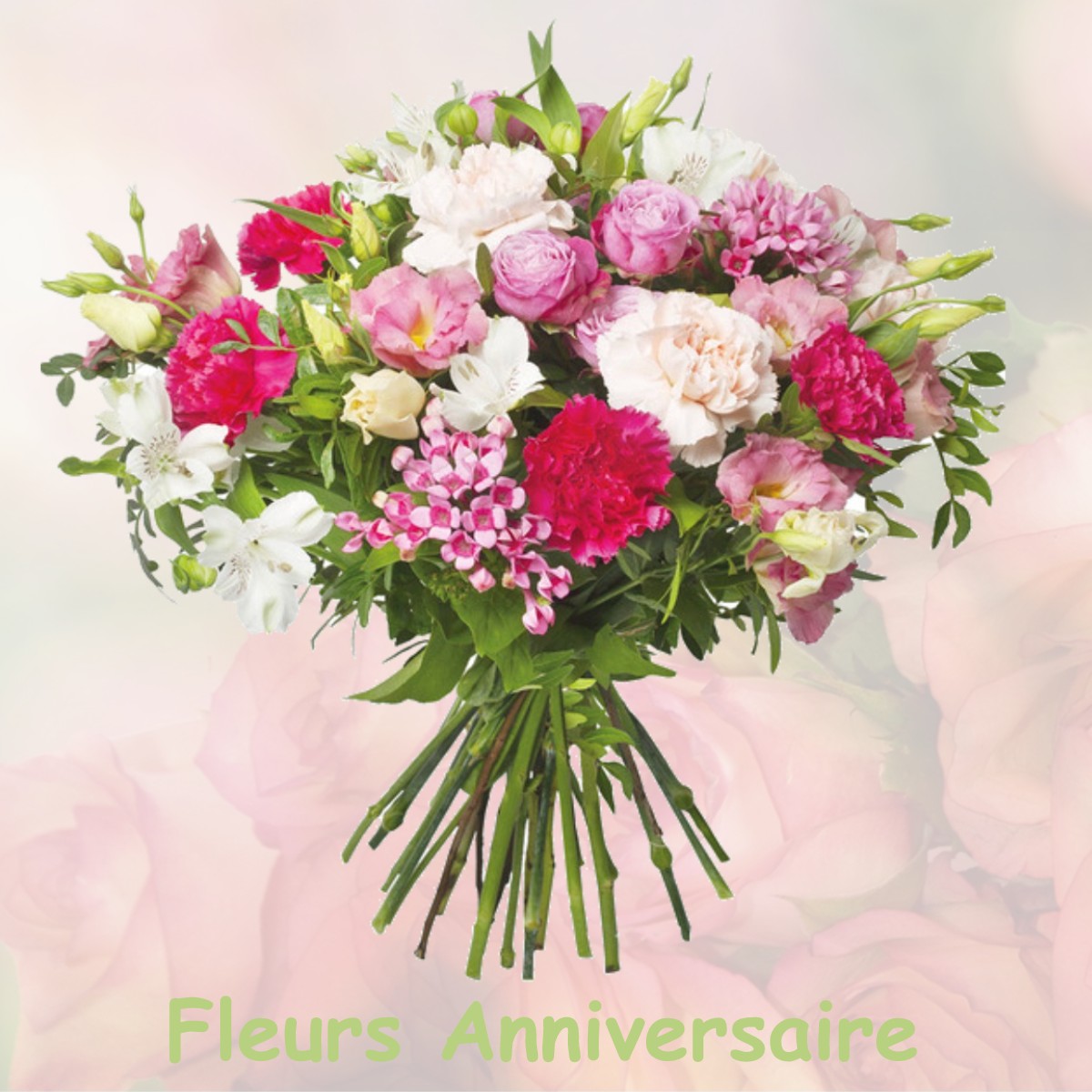 fleurs anniversaire LA-NEUVILLE